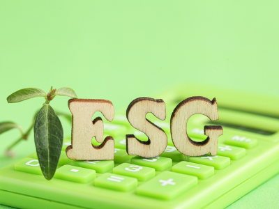 wdrażanie strategii ESG
