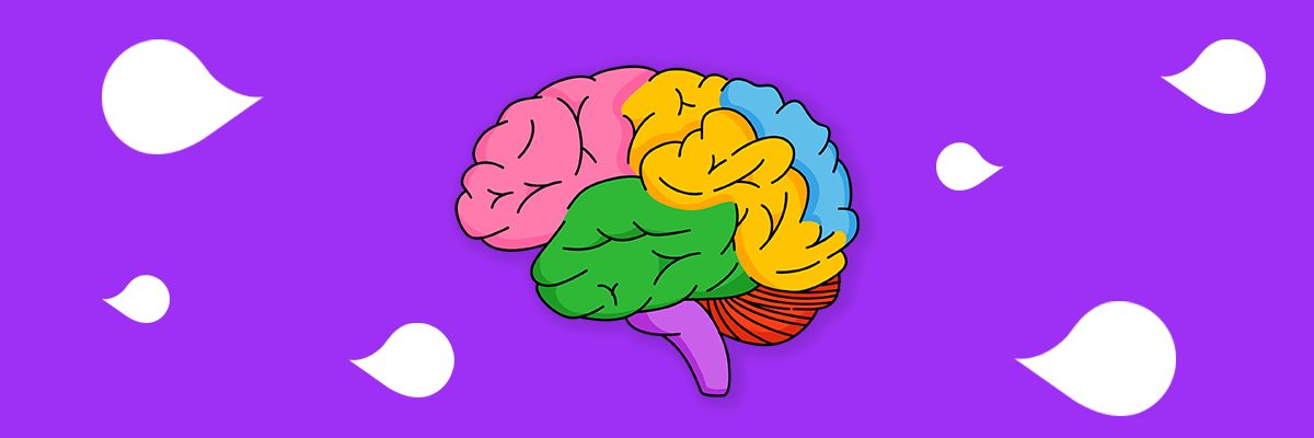 PS neuroroznorodnosc baner desktop2 (002)