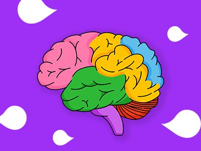 PS neuroroznorodnosc baner mobile2 (002)